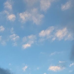 Meet your Posher, Claire